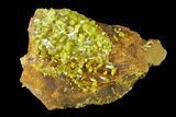 Vibrant Green Pyromorphite Crystal Cluster - China #146670-2